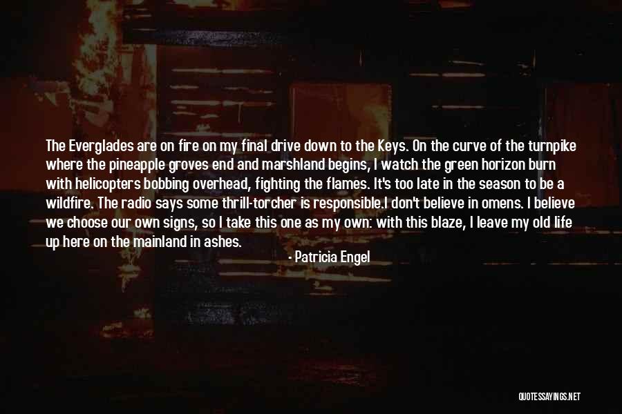 Going Down In Flames Quotes By Patricia Engel