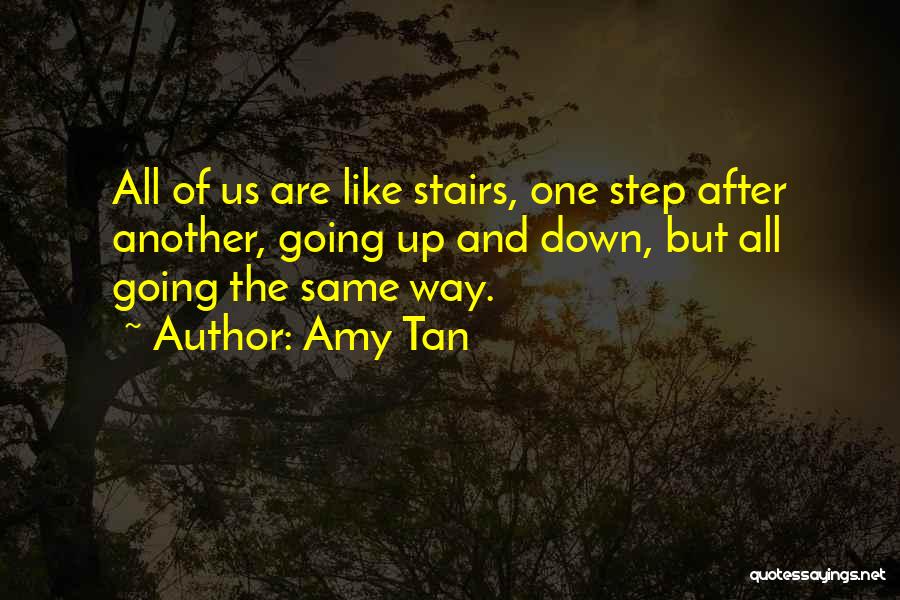 Going Down Stairs Quotes By Amy Tan