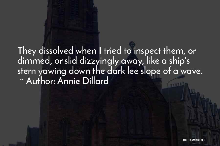Going Down With The Ship Quotes By Annie Dillard