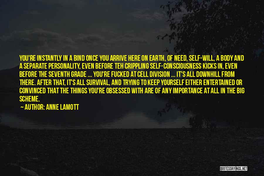 Going Downhill In Life Quotes By Anne Lamott