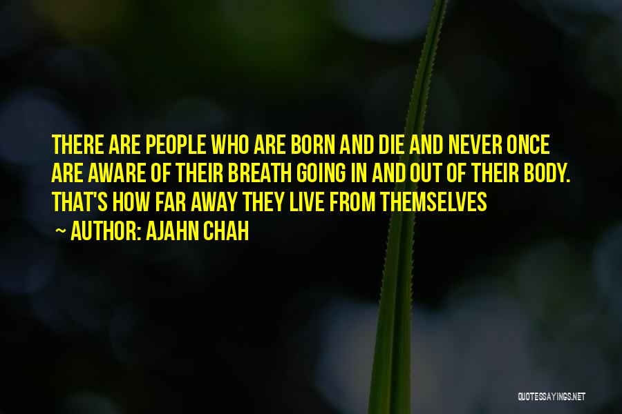 Going Far Away Quotes By Ajahn Chah