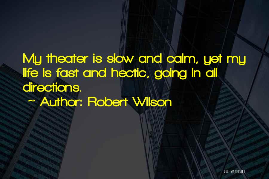 Going Fast In Life Quotes By Robert Wilson