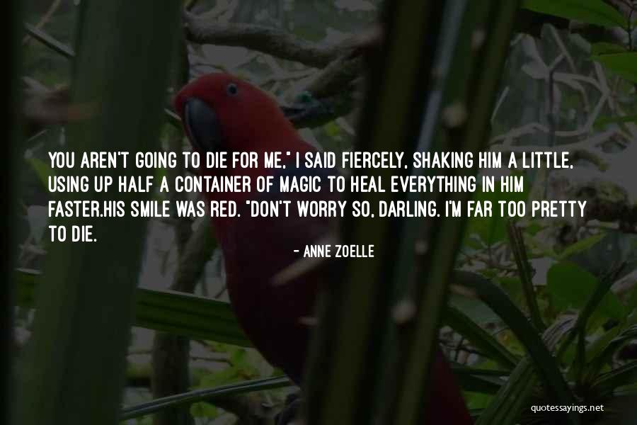 Going Faster Quotes By Anne Zoelle