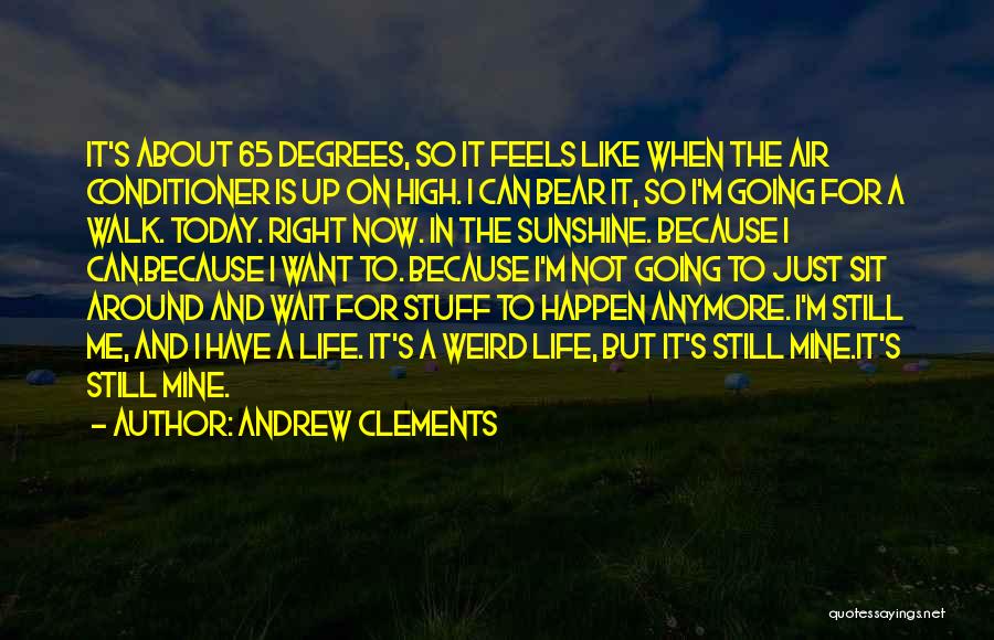 Going For A Walk Quotes By Andrew Clements