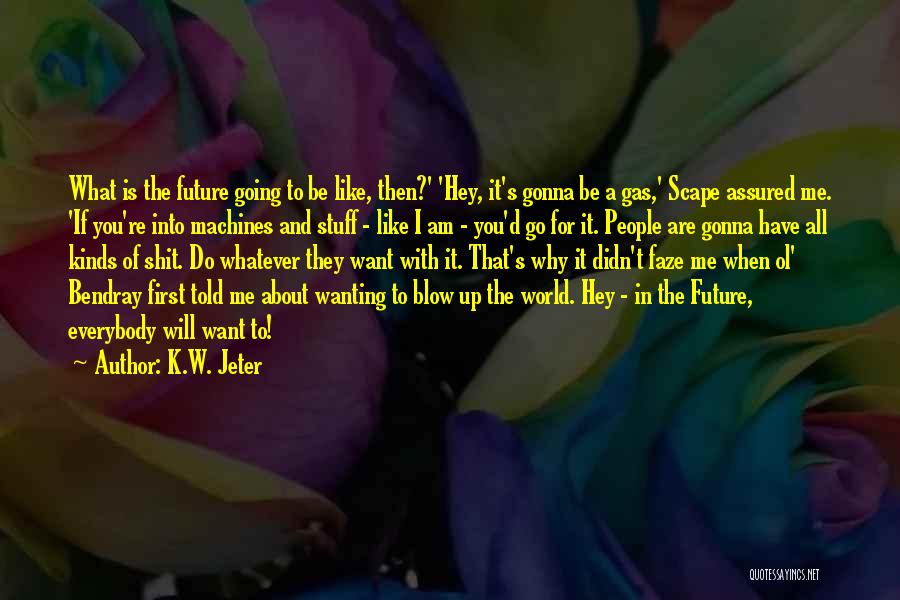 Going For What You Want Quotes By K.W. Jeter