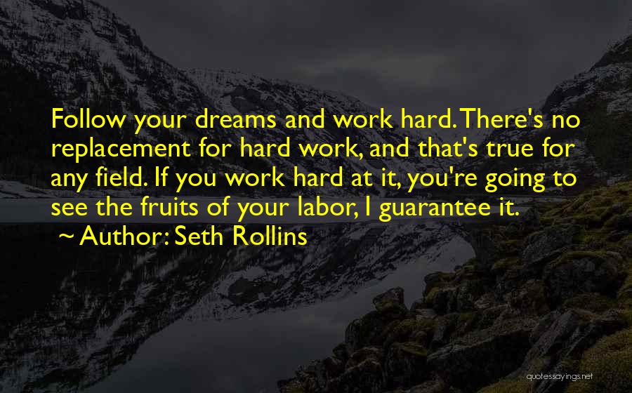 Going For Your Dreams Quotes By Seth Rollins