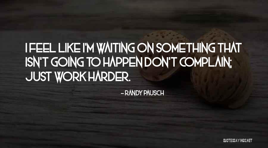 Going Harder Quotes By Randy Pausch