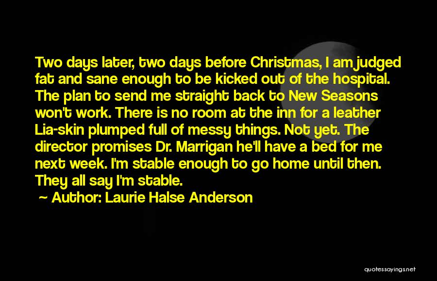 Going Home For Christmas Quotes By Laurie Halse Anderson