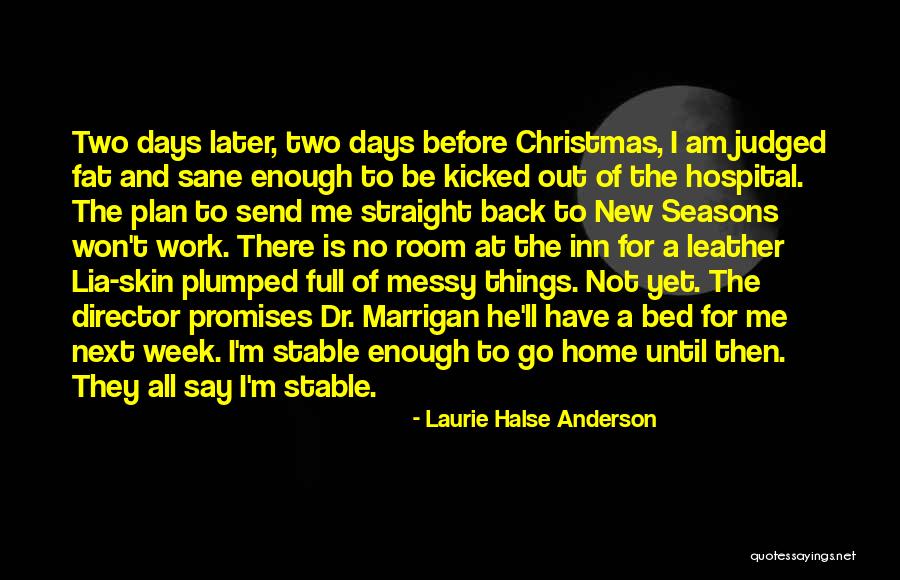 Going Home For Christmas Quotes By Laurie Halse Anderson