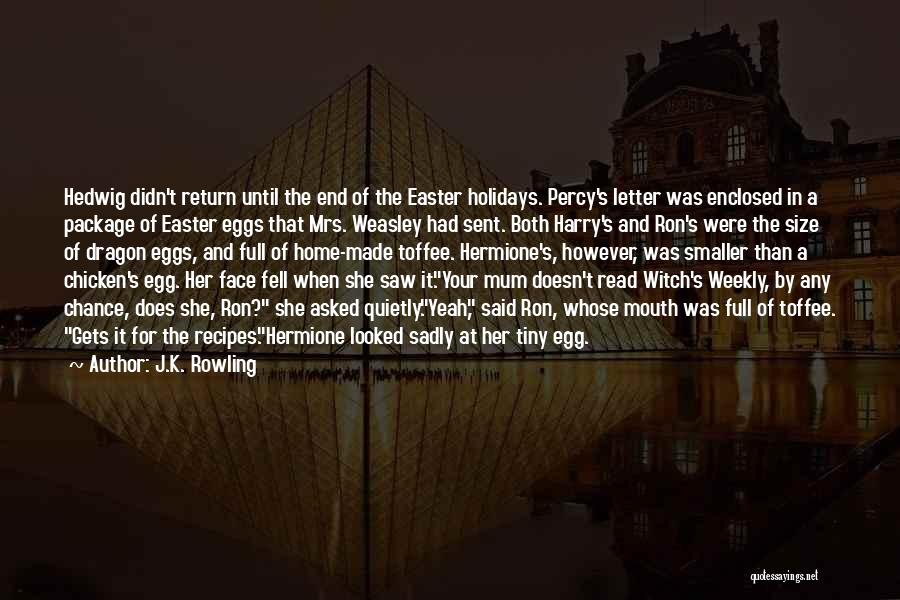 Going Home For The Holidays Quotes By J.K. Rowling