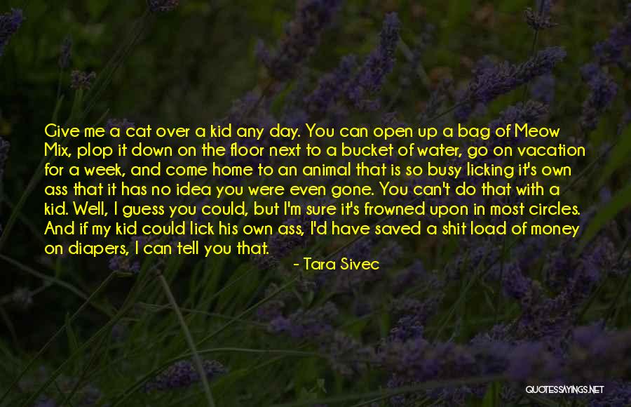 Going Home For Vacation Quotes By Tara Sivec