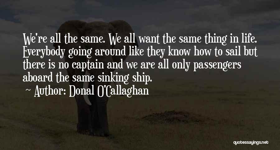Going In Life Quotes By Donal O'Callaghan