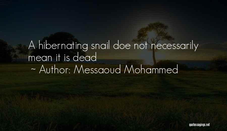 Going Into Hibernation Quotes By Messaoud Mohammed