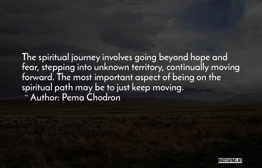 Going Into The Unknown Quotes By Pema Chodron