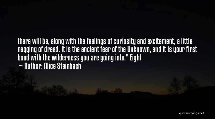 Going Into The Wilderness Quotes By Alice Steinbach