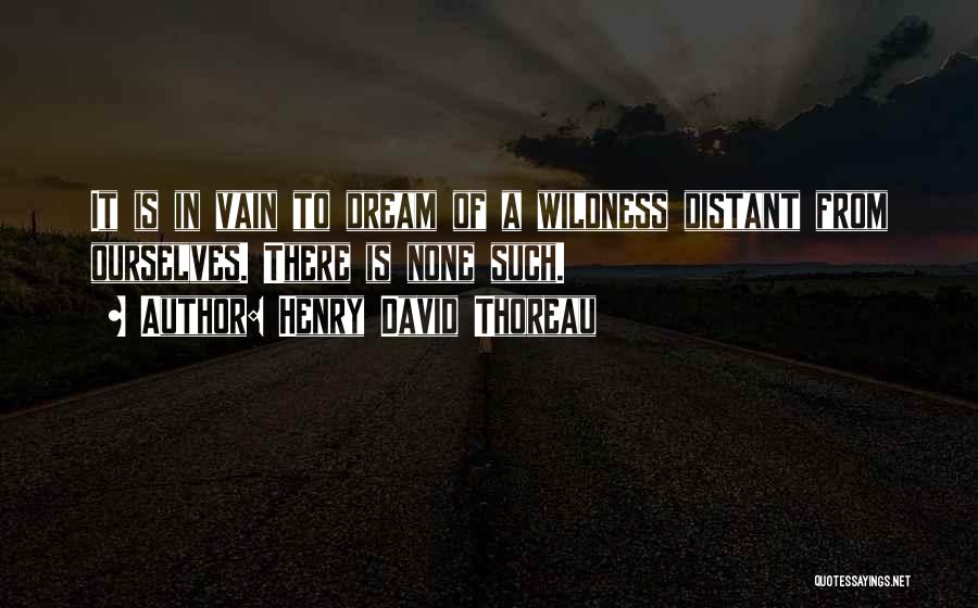 Going Into The Wilderness Quotes By Henry David Thoreau