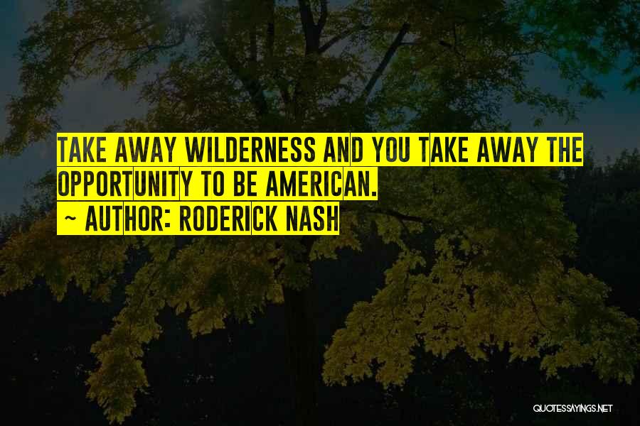 Going Into The Wilderness Quotes By Roderick Nash