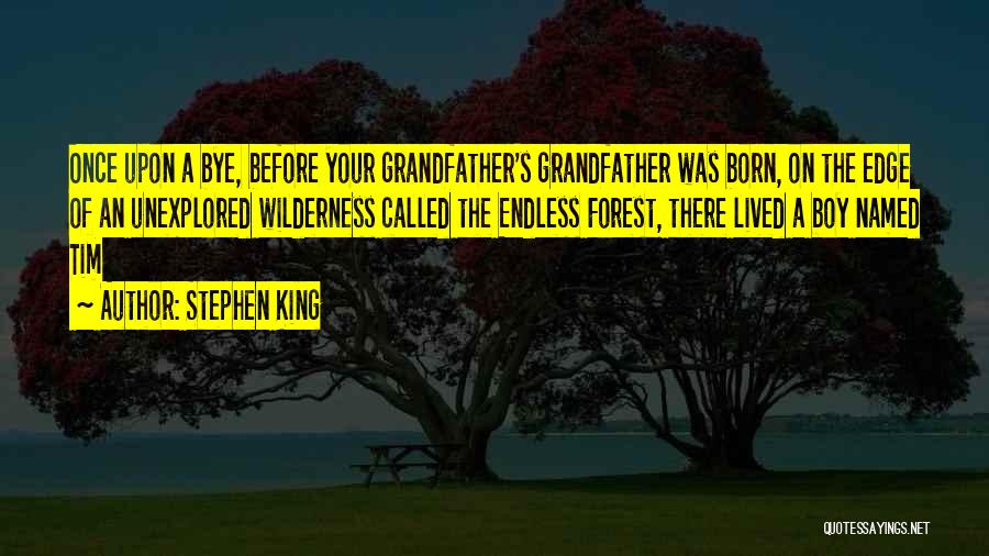 Going Into The Wilderness Quotes By Stephen King