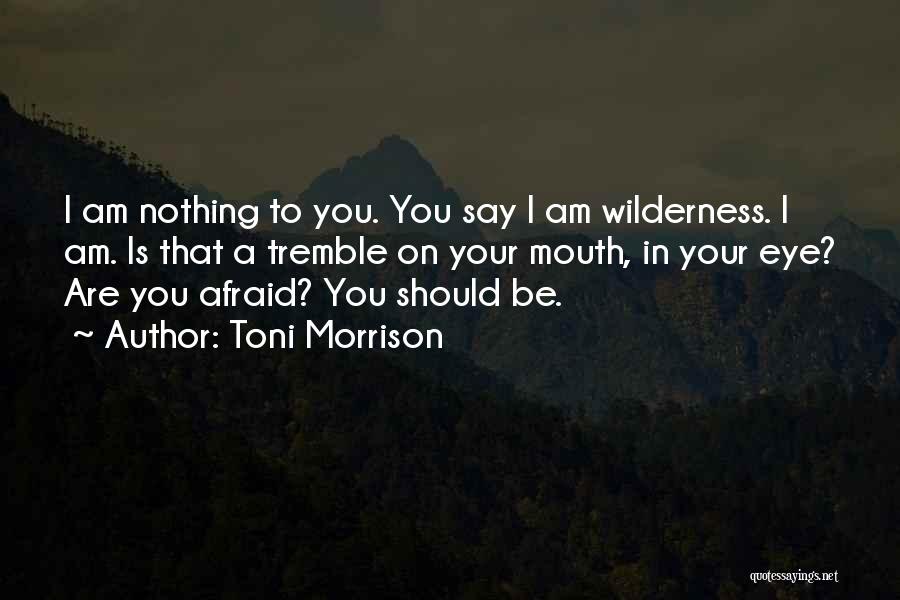 Going Into The Wilderness Quotes By Toni Morrison
