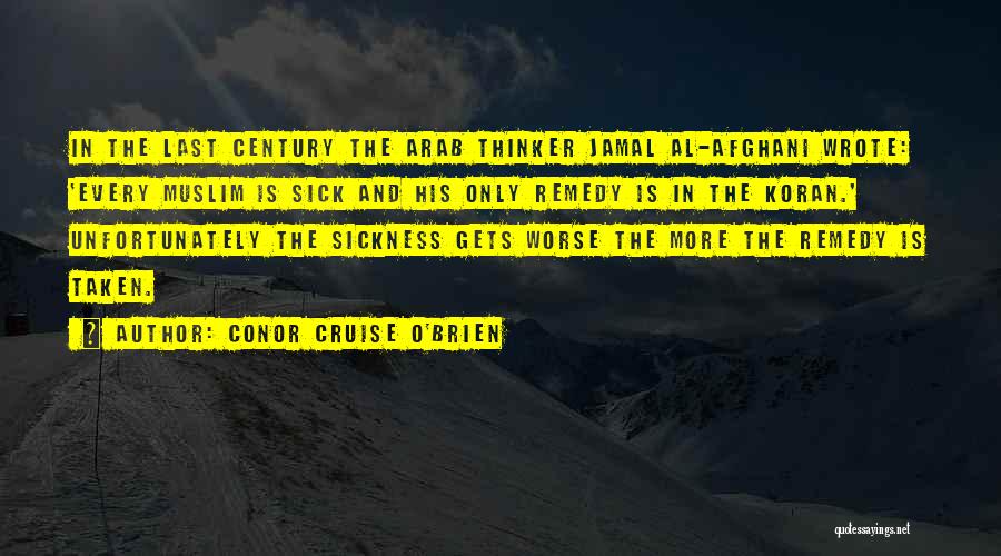 Going On A Cruise Quotes By Conor Cruise O'Brien