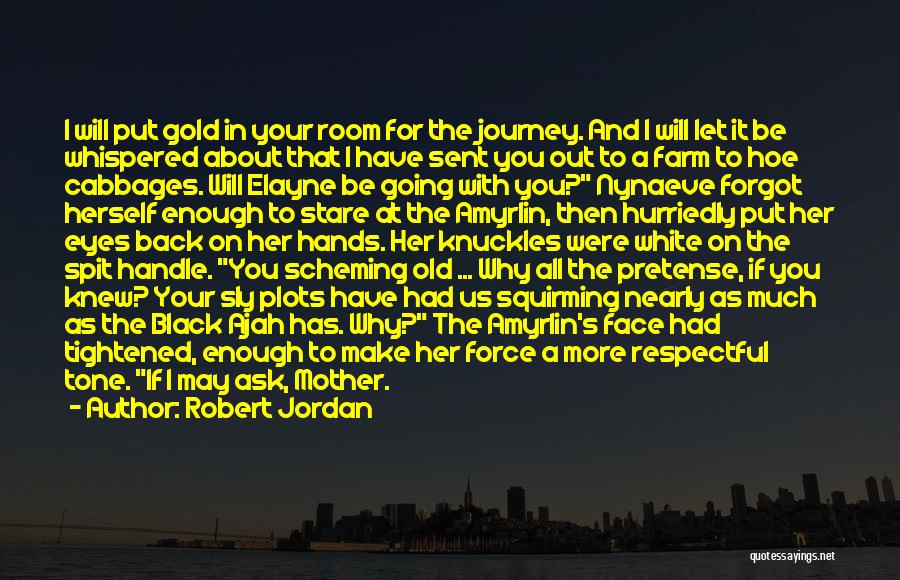 Going On A Journey Quotes By Robert Jordan