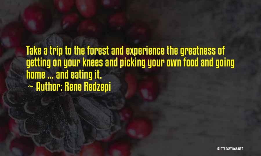 Going On A Trip Quotes By Rene Redzepi