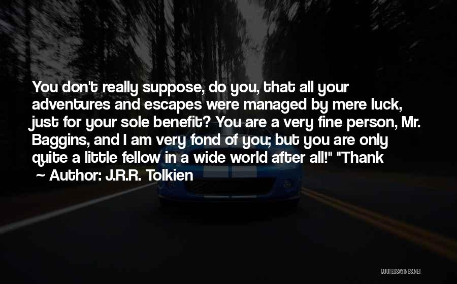 Going On Adventures Quotes By J.R.R. Tolkien