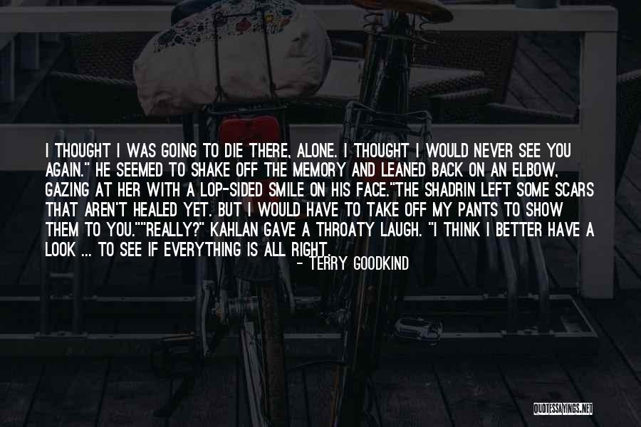 Going On Alone Quotes By Terry Goodkind