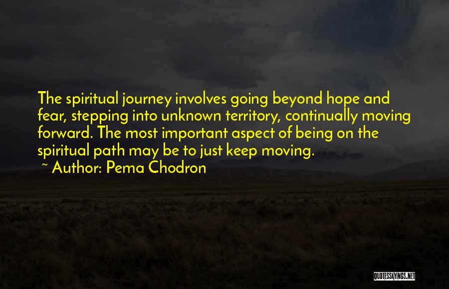Going On Journey Quotes By Pema Chodron