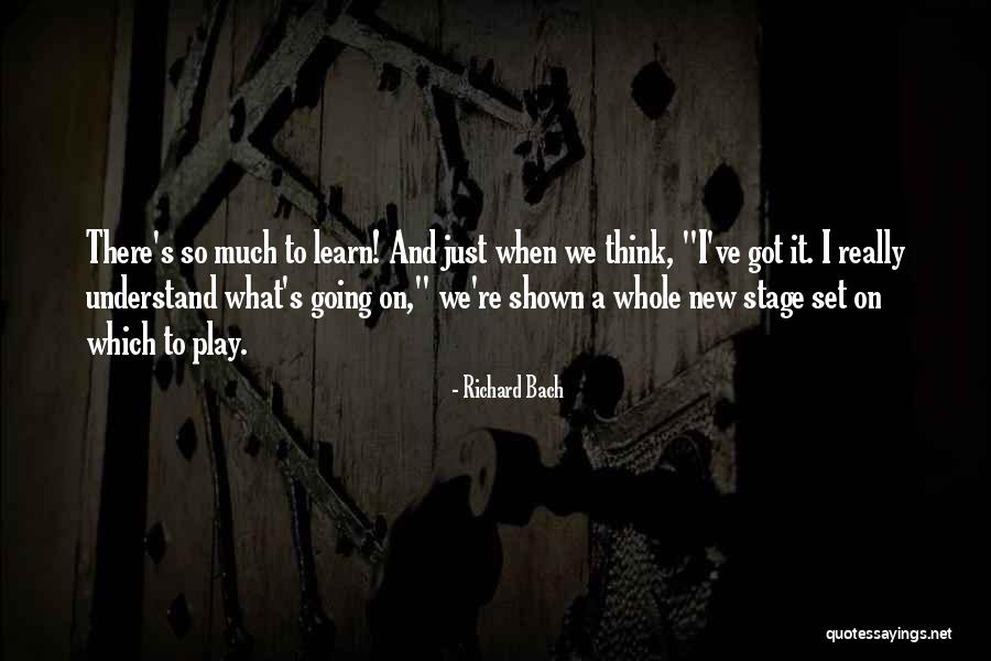 Going On Stage Quotes By Richard Bach Going On Stage Quotes By Richard Bach