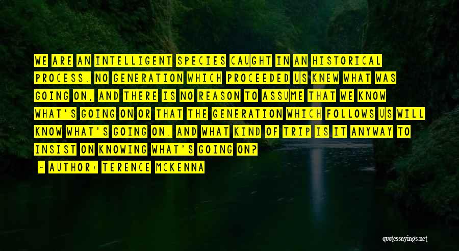 Going On Trip Quotes By Terence McKenna