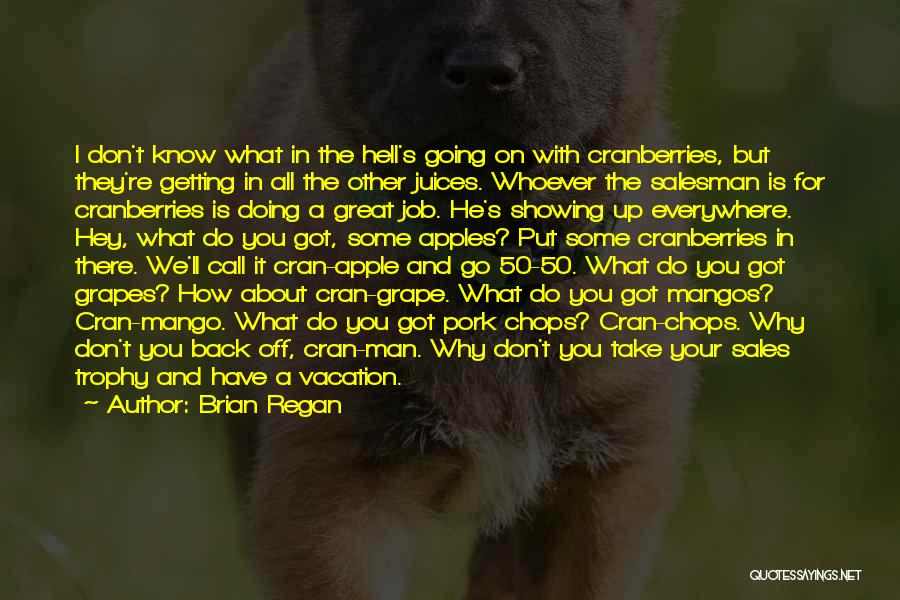 Going On Vacation Quotes By Brian Regan Going On Vacation Quotes By Brian Regan