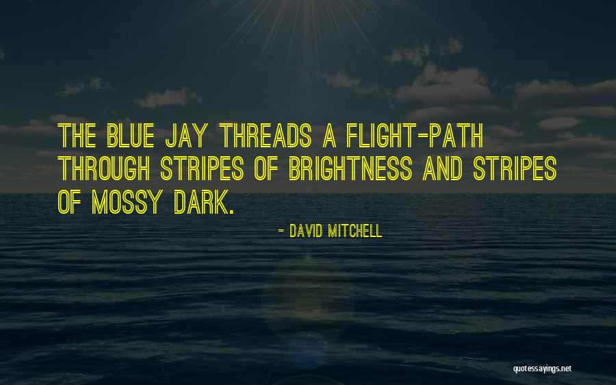 Going On Your Own Path Quotes By David Mitchell Going On Your Own Path Quotes By David Mitchell