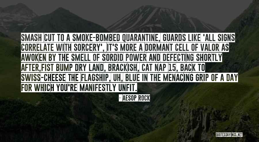 Going Out After Quarantine Quotes By Aesop Rock Going Out After Quarantine Quotes By Aesop Rock