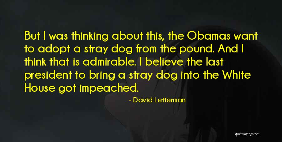 Going Out After Quarantine Quotes By David Letterman Going Out After Quarantine Quotes By David Letterman
