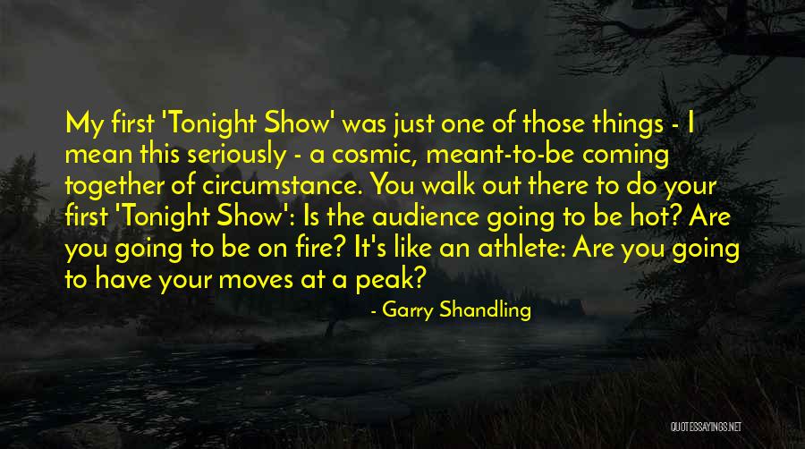 Going Out Tonight Quotes By Garry Shandling