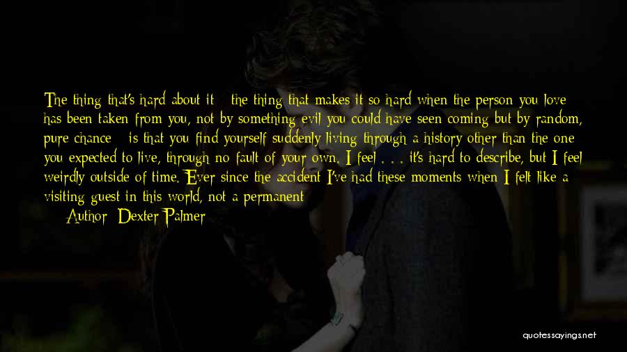 Going Through A Hard Time Quotes By Dexter Palmer
