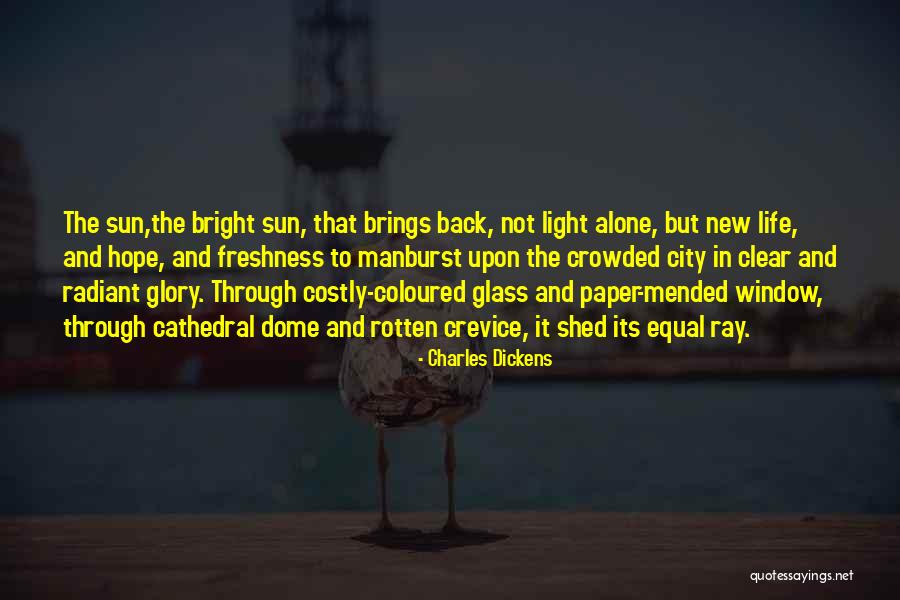 Going Through Life Alone Quotes By Charles Dickens