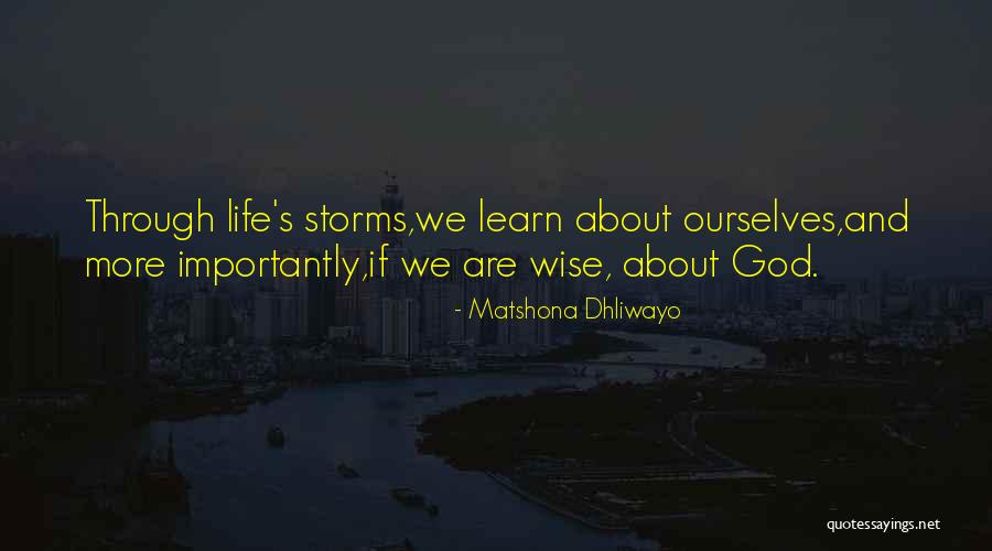 Going Through Storms Quotes By Matshona Dhliwayo