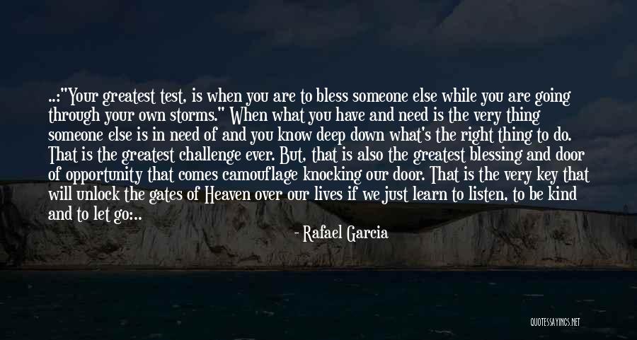 Going Through Storms Quotes By Rafael Garcia