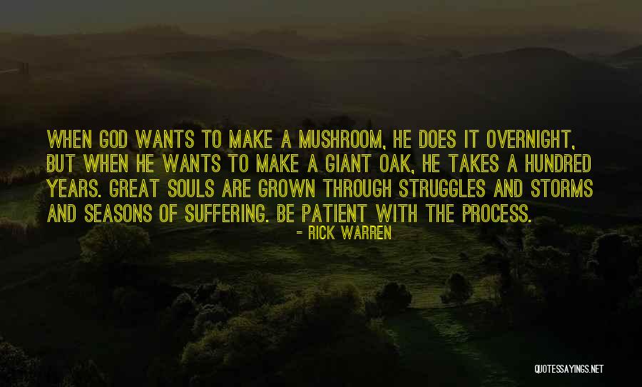 Going Through Storms Quotes By Rick Warren