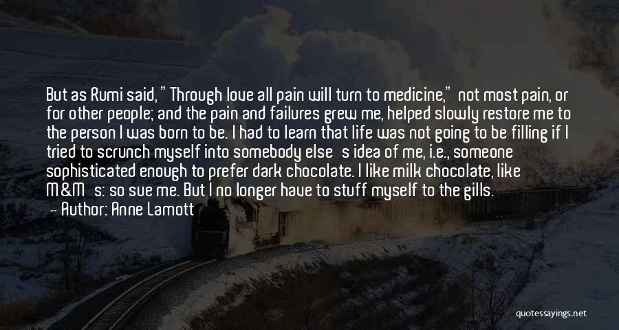 Going Through Stuff Quotes By Anne Lamott