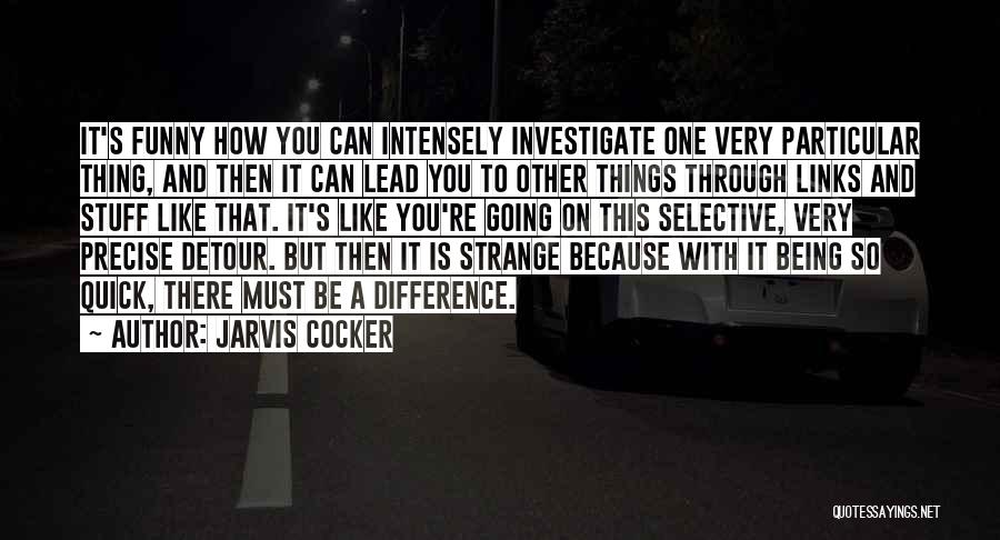 Going Through Stuff Quotes By Jarvis Cocker