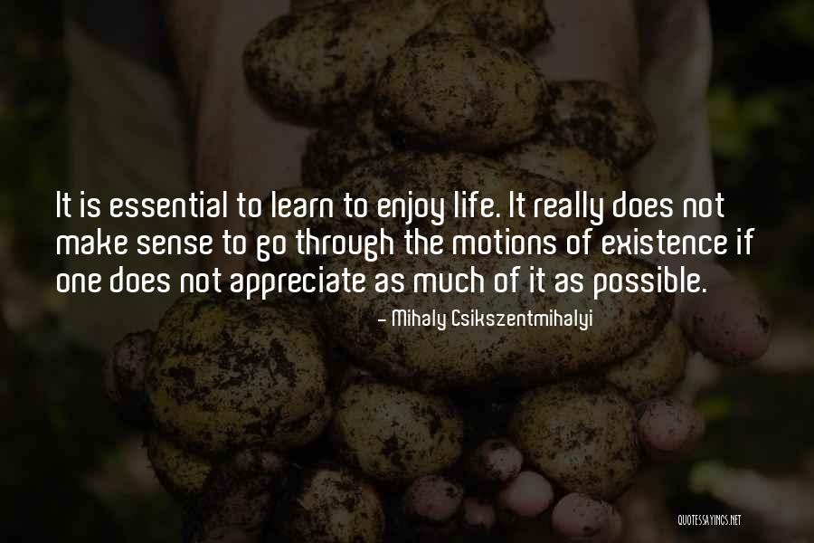 Going Through The Motions Of Life Quotes By Mihaly Csikszentmihalyi Going Through The Motions Of Life Quotes By Mihaly Csikszentmihalyi