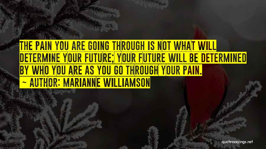 Going Through The Pain Quotes By Marianne Williamson