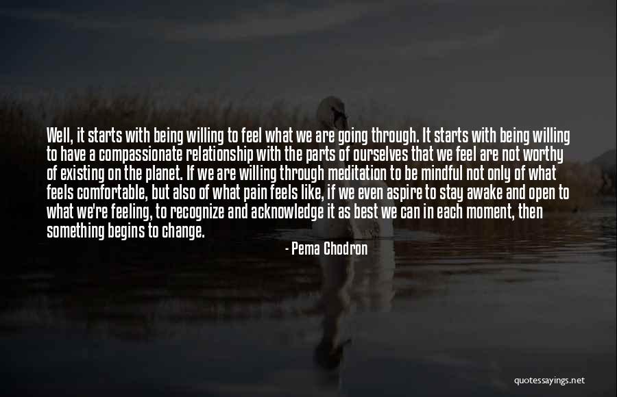 Going Through The Pain Quotes By Pema Chodron