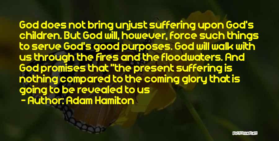 Going Through Things Quotes By Adam Hamilton