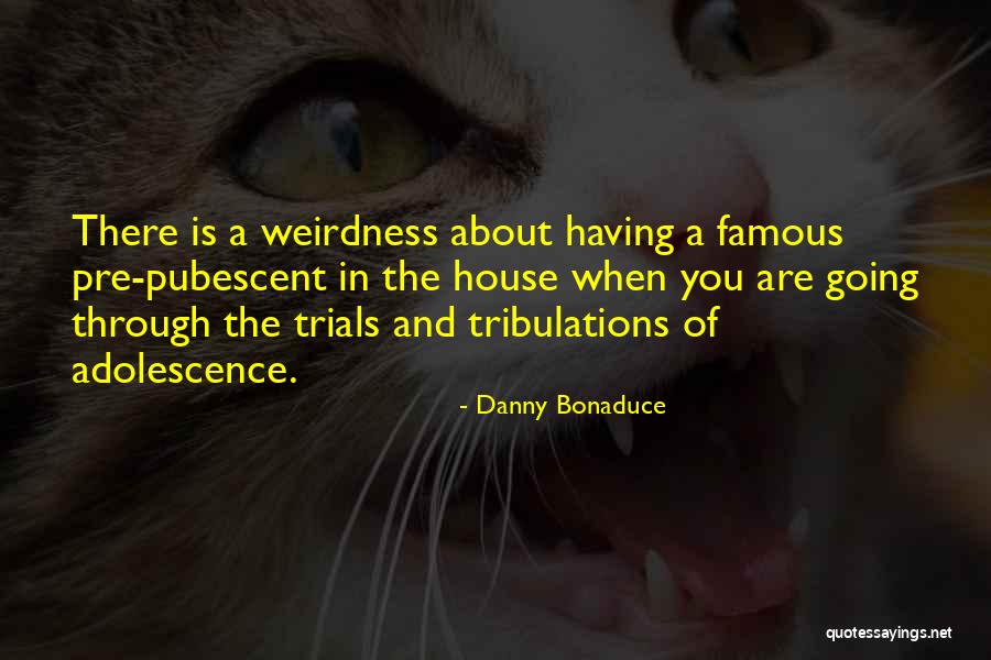 Going Through Trials Quotes By Danny Bonaduce Going Through Trials Quotes By Danny Bonaduce