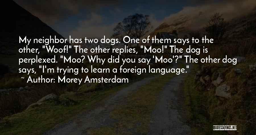 Going To Amsterdam Quotes By Morey Amsterdam