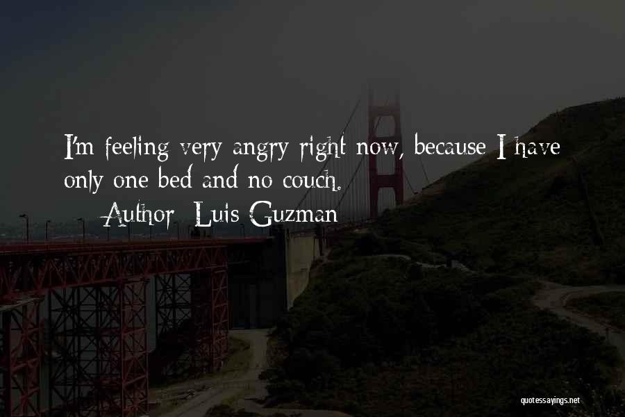 Going To Bed Angry Quotes By Luis Guzman